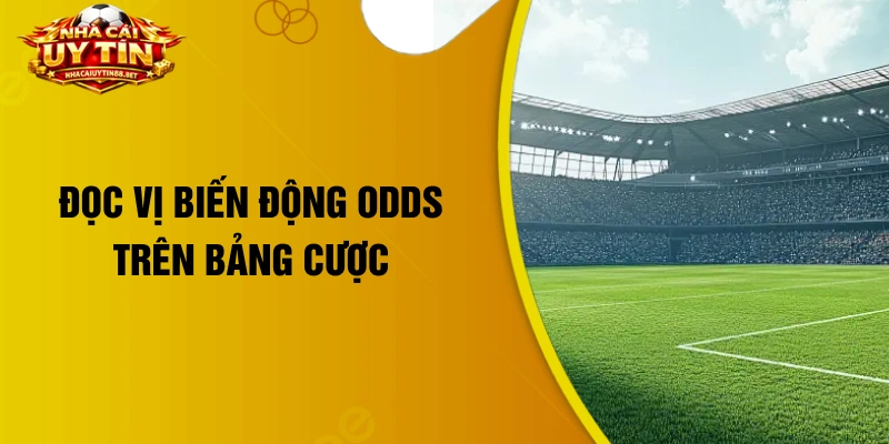 Đọc vị biến động odds trên bảng cược
